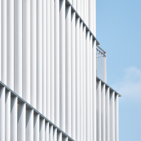 THE BEAUTY OF SCIENCE